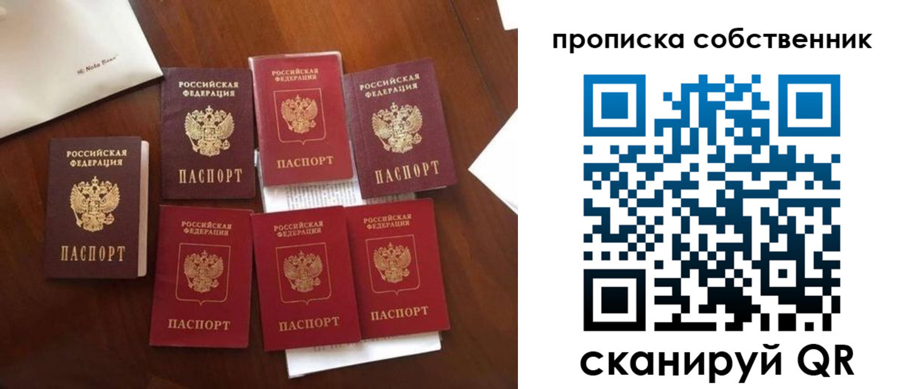 прописка для школы в Мытищах