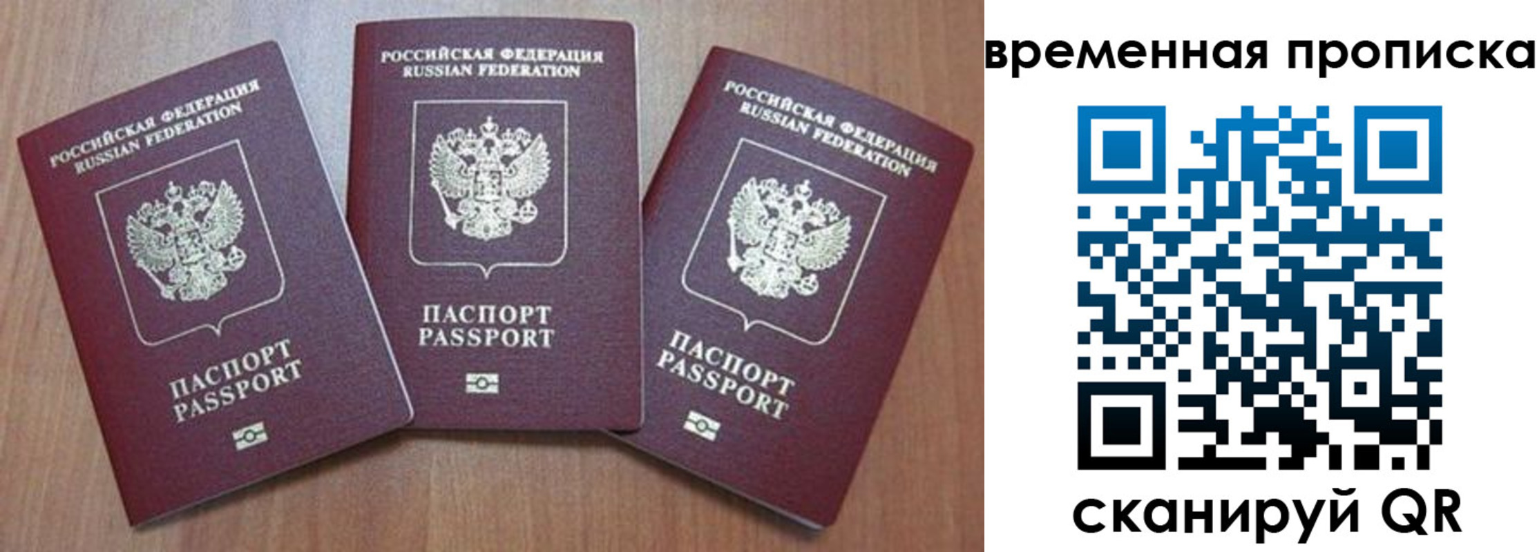 прописка для работы в Мытищах
