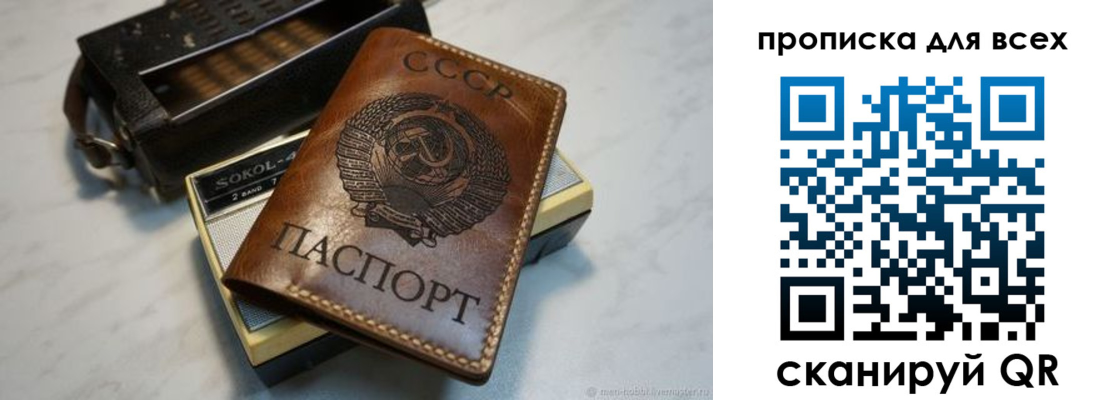 прописка в квартире в Мытищах